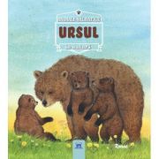 Ursul