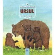 Ursul de Renne