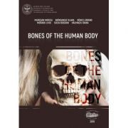 Bones of the human body