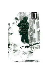 Iubire în decembrie ’89 de Stelian Turlea