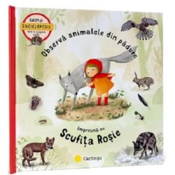 Observa animalele din padure impreuna cu Scufita Rosie