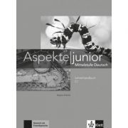 Aspekte junior C1. Mittelstufe Deutsch