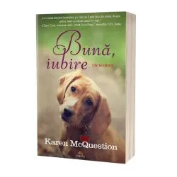 Bună. iubire de Karen McQuestion