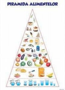 Piramida alimentelor