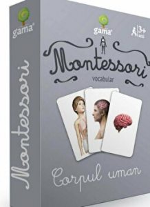 Corpul uman. Montessori. Vocabular. 3  ani