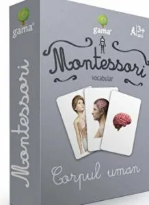 Corpul uman. Montessori. Vocabular. 3  ani