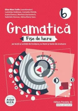 Gramatică. Fișe de lucru pentru clasa a VI-a