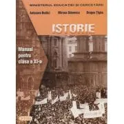 Manual de istorie pentru clasa a 11-a de Anisoara Budici