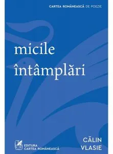 Micile întâmplări de Calin Vlasie
