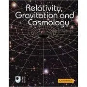 Relativity, Gravitation and Cosmology de Robert J. A. Lambourne