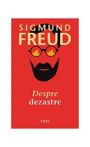 Despre dezastre