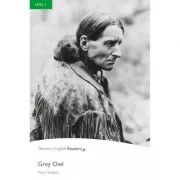 Level 3. Grey Owl de Vicky Shipton