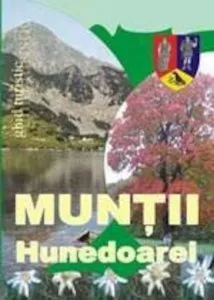 Muntii Hunedoarei de Nicu Jianu