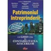 Patrimoniul intreprinderii. Un ghid util in contabilitatea afacerilor, clasa a 9-a de Valentina Capota