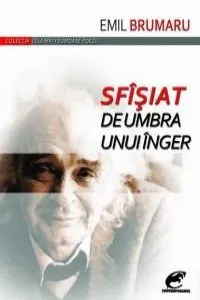 Sfisiat de umbra unui inger de Emil Brumaru