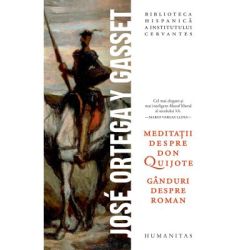 Meditatii despre Don Quijote. Ganduri despre roman