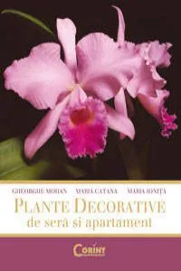 Plante decorative de sera si apartament de Gheorghe Mohan