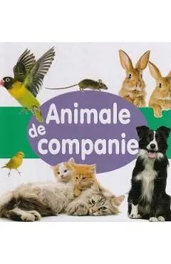 Animale de companie de Autor Anonim
