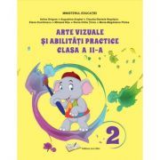 Arte vizuale si abilitati practice. Manual clasa a 2-a