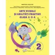 Arte vizuale si abilitati practice. Manual clasa a 2-a de Adina Grigore