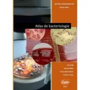 Atlas de bacteriologie de Adrian Man.
