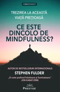 Ce este dincolo de Mindfulness? de Stephen Fulder