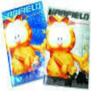Caietel A6 Garfield