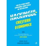 Hackingul cresterii economice. Cum isi ating rapid companiile obiectivele de dezvoltare