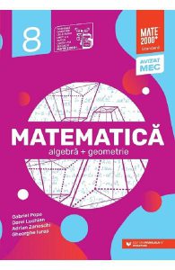 Matematica - Clasa 8 - Standard