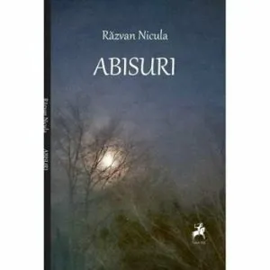 Abisuri de Razvan Nicula