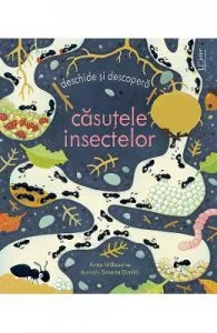 Casutele insectelor. Deschide si descopera de Anna Milbourne