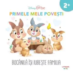 Disney bebe. Bocanila isi iubeste familia. Primele mele povesti