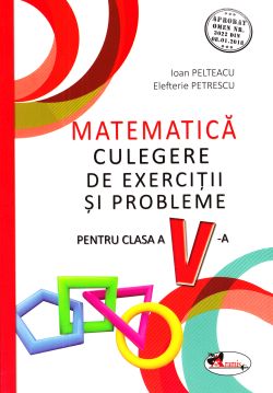 Matematica - Clasa 5 - Culegere de exercitii si probleme