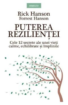 Puterea rezilientei
