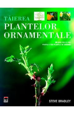 Taierea plantelor ornamentale