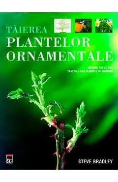 Taierea plantelor ornamentale de Steve Bradley