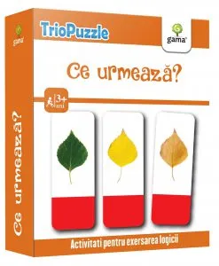 Ce urmeaza?