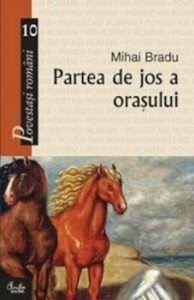 Partea de jos a orasului