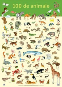 Plansa - 100 de animale