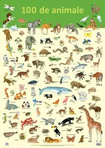 Plansa - 100 de animale de Nelson Verlag