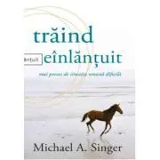 Traind neinlantuit de Michael A. Singer