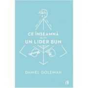 Ce inseamna sa fii un lider bun. De ce este importanta inteligenta emotionala