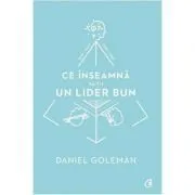 Ce inseamna sa fii un lider bun. De ce este importanta inteligenta emotionala