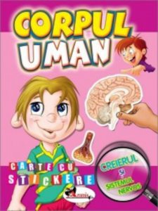 Corpul uman - Creierul si sistemul nervos