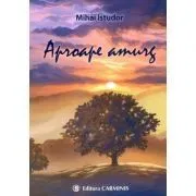 Aproape amurg de Mihai Istudor