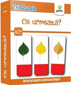 Ce urmeaza? Activitati pentru exersarea logicii