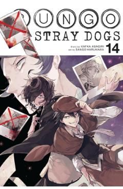 Bungo Stray Dogs Vol.14