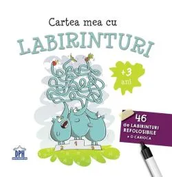 Cartea mea cu labirinturi
