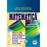 Culegere de exercitii. Matematica, Clasa a 11-a. Sinteze si teorie. Algebra superioara, Analiza matematica