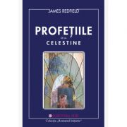 Profetiile de la Celestine. Romanul initiatic